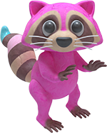 Raccoon